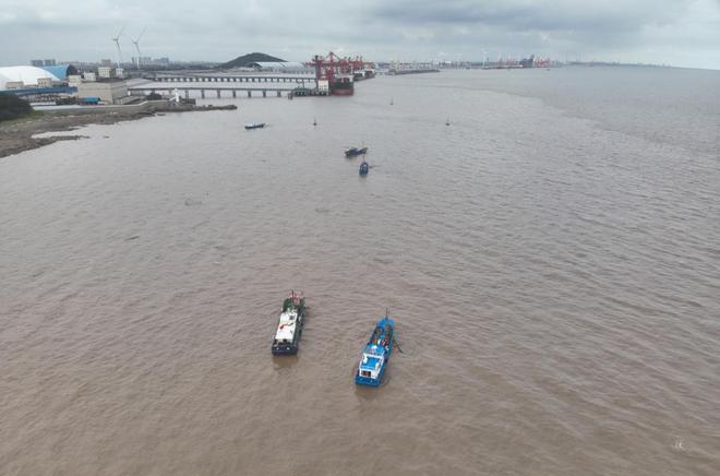 浙江海域沙海蜇虽可食用但处理危险，专家建议谨慎捕捞