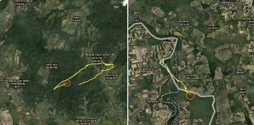 最新俄乌新闻_俄乌局势最新消息_