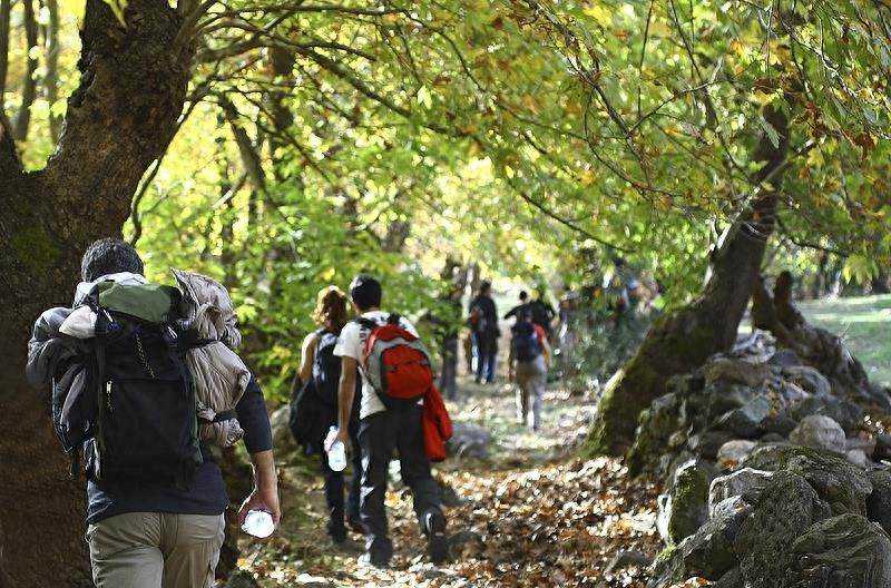 黑料网：暑期旅游旺季来临，如何避坑与避险？这些要点需注意