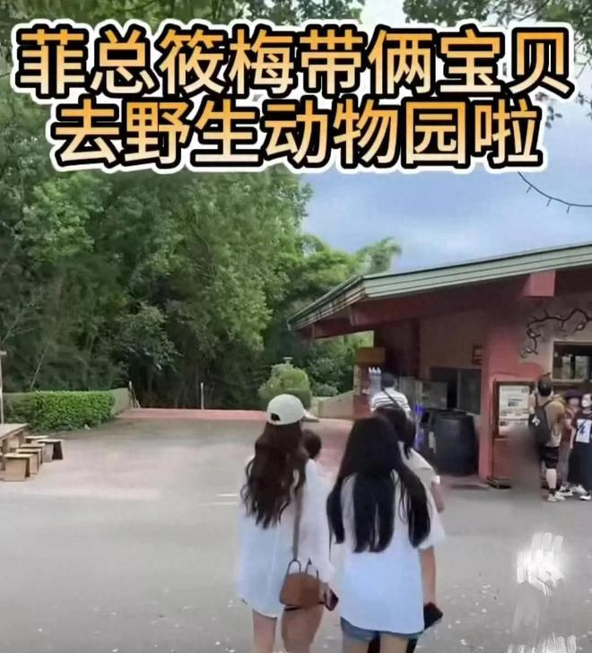 今日黑料：汪小菲带娃逛动物园欢乐多，张兰分享引争议，舆论焦点竟转移？