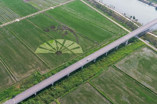 吃瓜网51cg7爆料:江苏沿海天然气管道年底贯通,长三角绿色能源供应迎来新突破