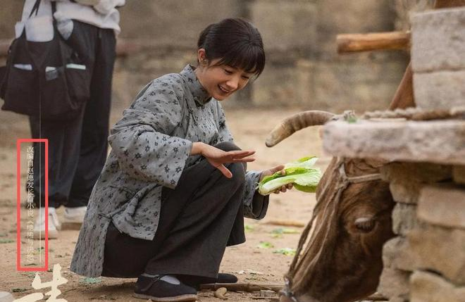 _今晚开播！主演阵容强大	，年代剧又出王炸，《生万物》请靠边站_今晚开播！主演阵容强大，年代剧又出王炸，《生万物》请靠边站